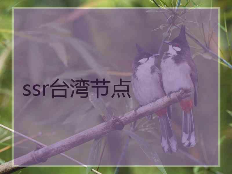 ssr台湾节点