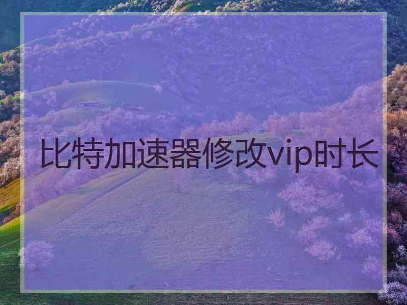 比特加速器修改vip时长