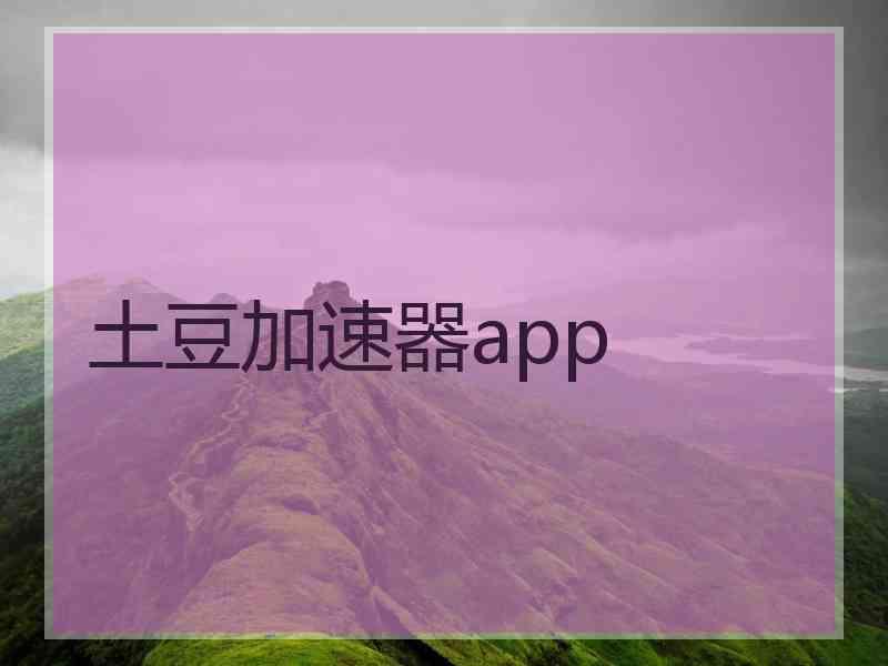 土豆加速器app