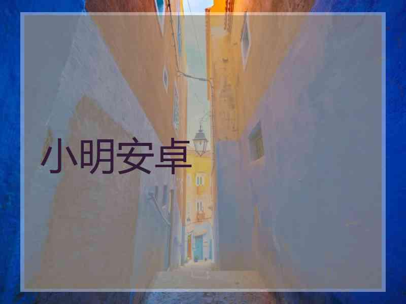 小明安卓