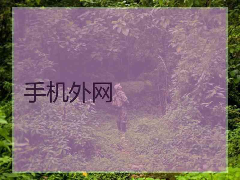 手机外网