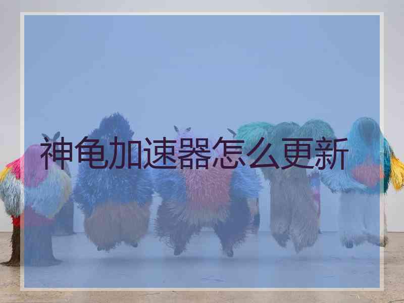 神龟加速器怎么更新