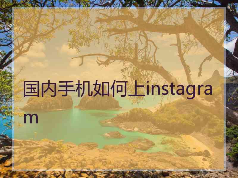 国内手机如何上instagram