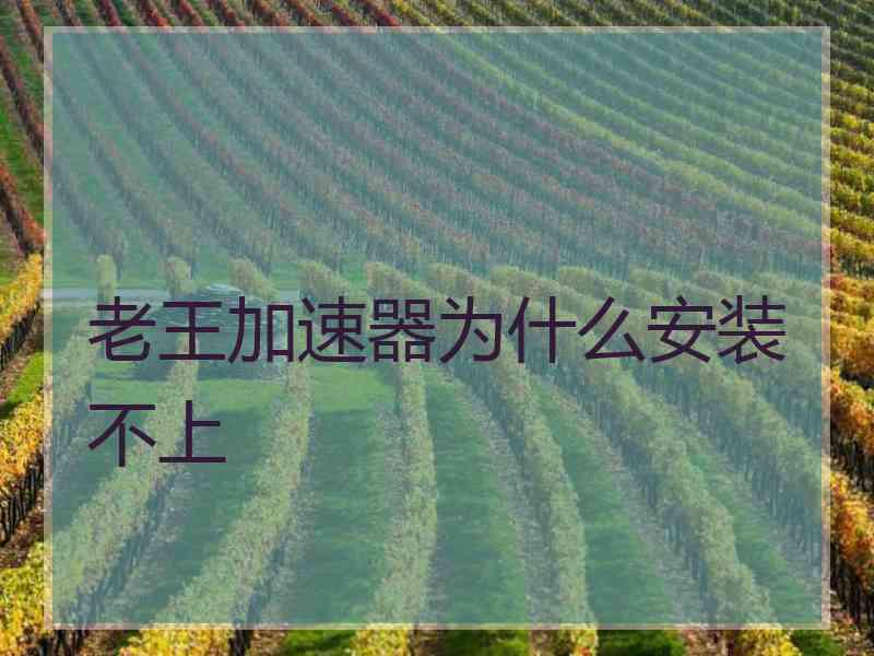 老王加速器为什么安装不上