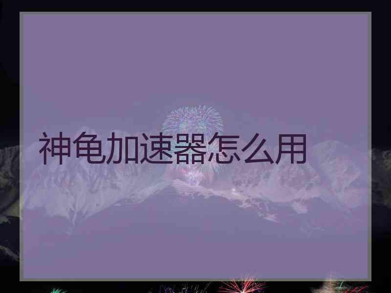 神龟加速器怎么用