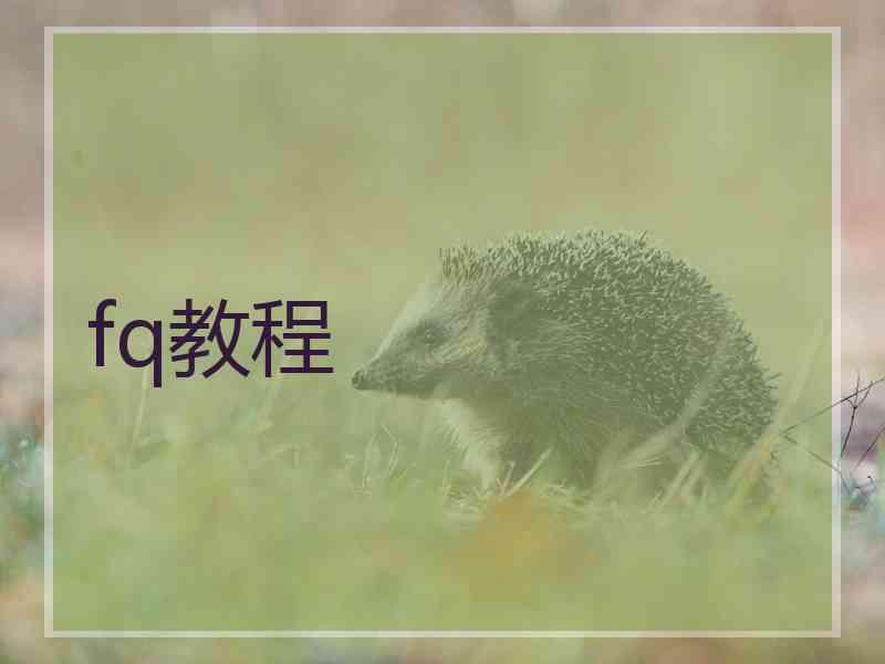 fq教程