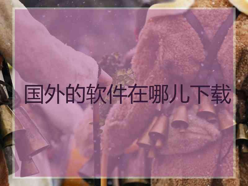 国外的软件在哪儿下载