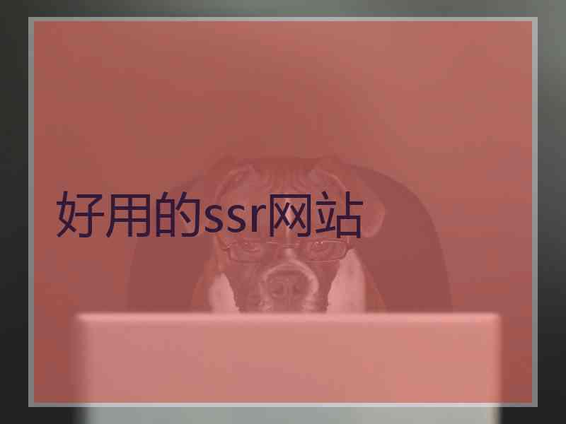 好用的ssr网站