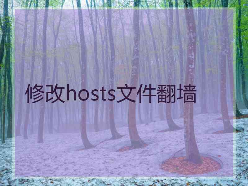 修改hosts文件翻墙