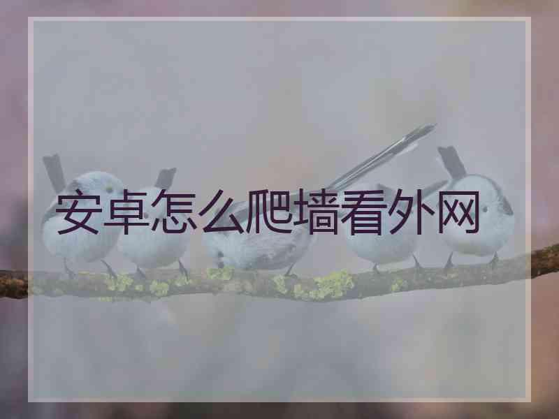 安卓怎么爬墙看外网