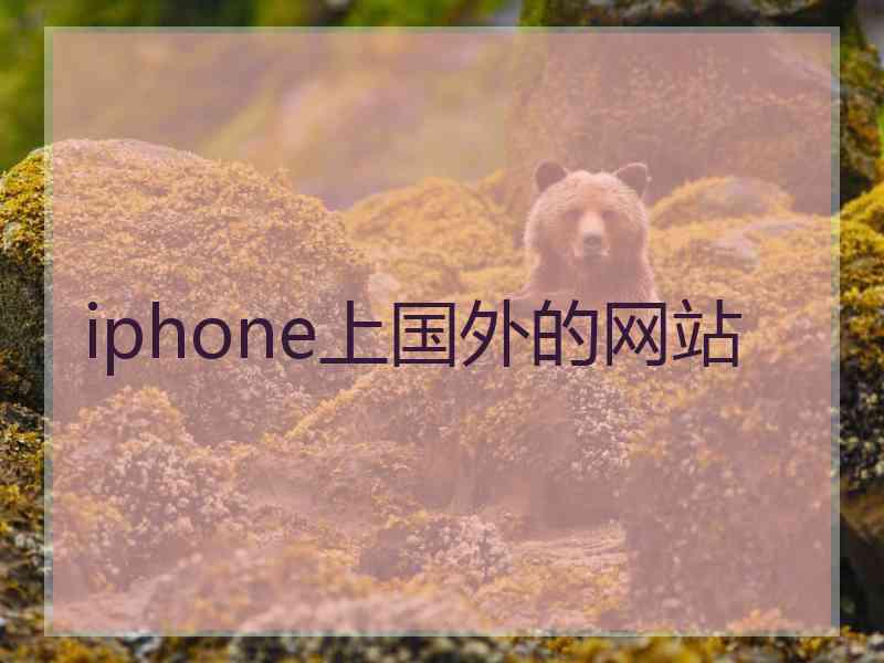 iphone上国外的网站