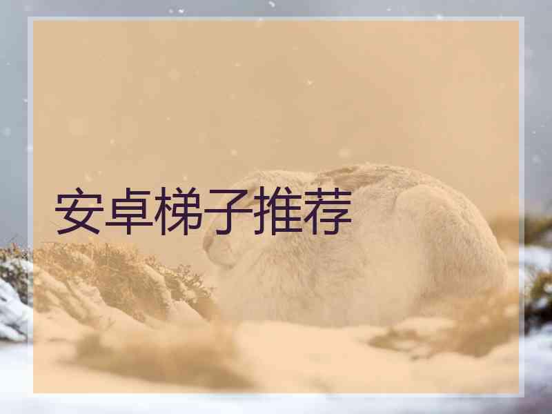 安卓梯子推荐