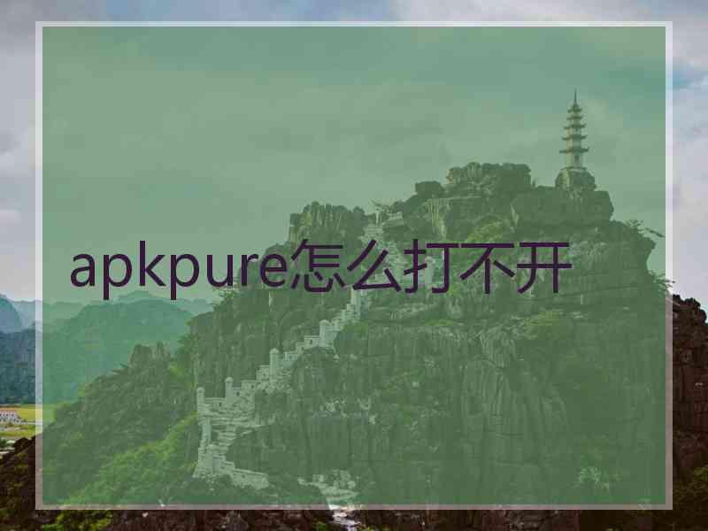 apkpure怎么打不开
