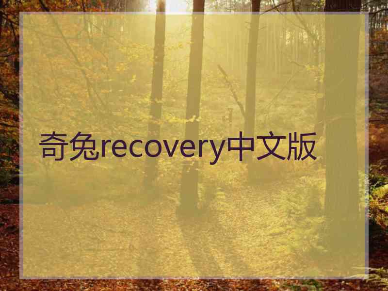 奇兔recovery中文版