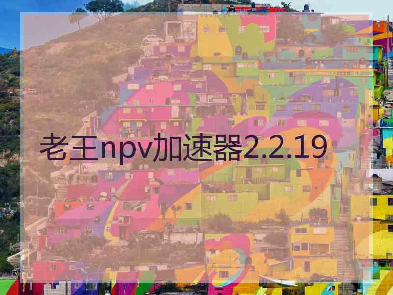 老王npv加速器2.2.19
