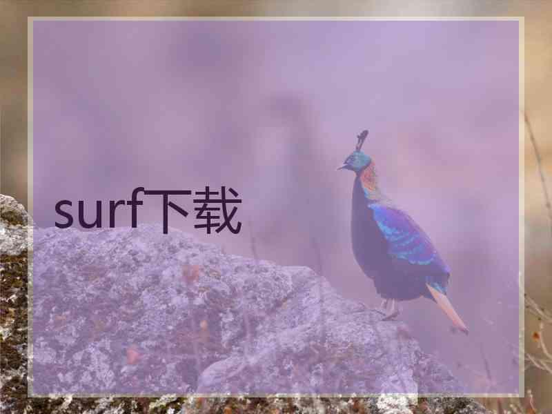 surf下载