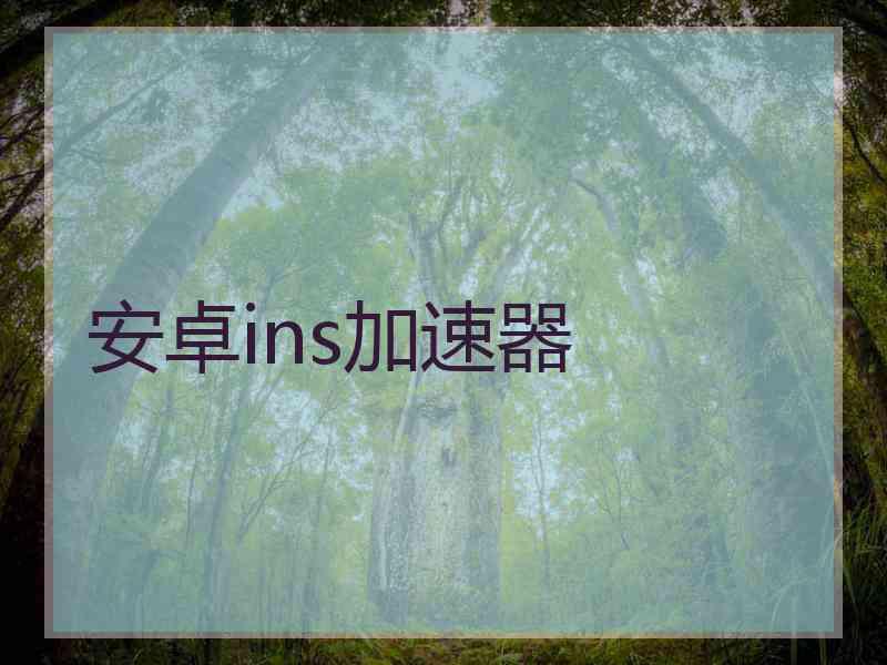 安卓ins加速器