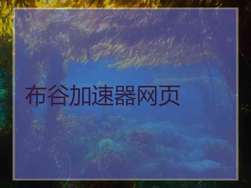 布谷加速器网页
