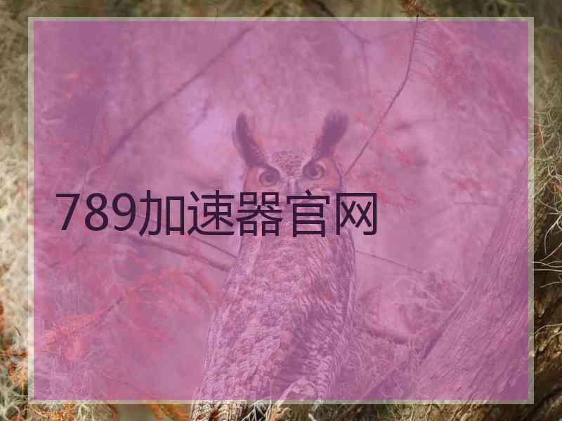 789加速器官网